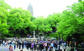 旅游服務(wù)新篇章 以品質(zhì)提升為核心，借力廣告與傳播媒體運(yùn)營(yíng)引客來(lái)