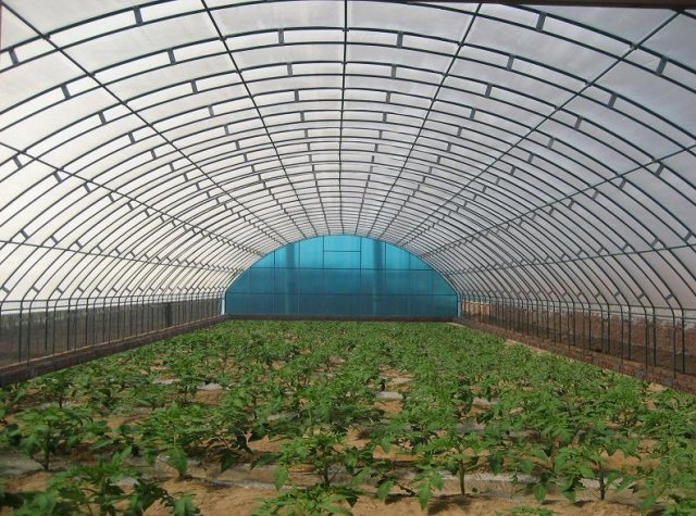 鋼架蔬菜大棚的搭建與實用指南