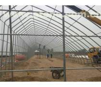高效耐用的鋼架大棚建設(shè)方案 優(yōu)質(zhì)產(chǎn)品信息與實(shí)施指南