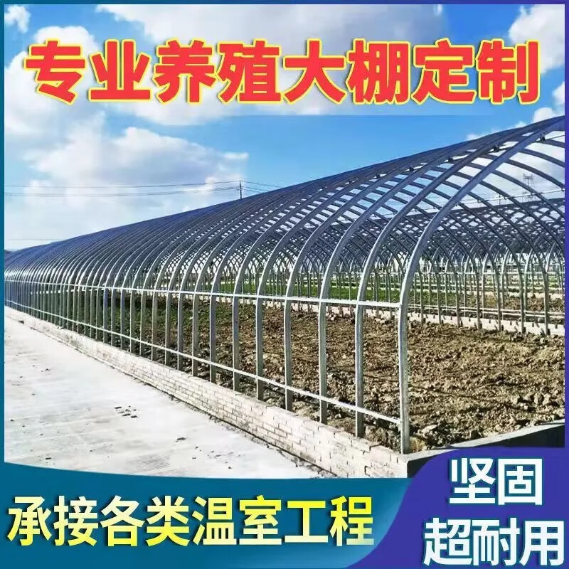 現(xiàn)代化農(nóng)業(yè)鋼架大棚 熱鍍鋅鋼管結(jié)構(gòu)的優(yōu)勢(shì)與定制方案